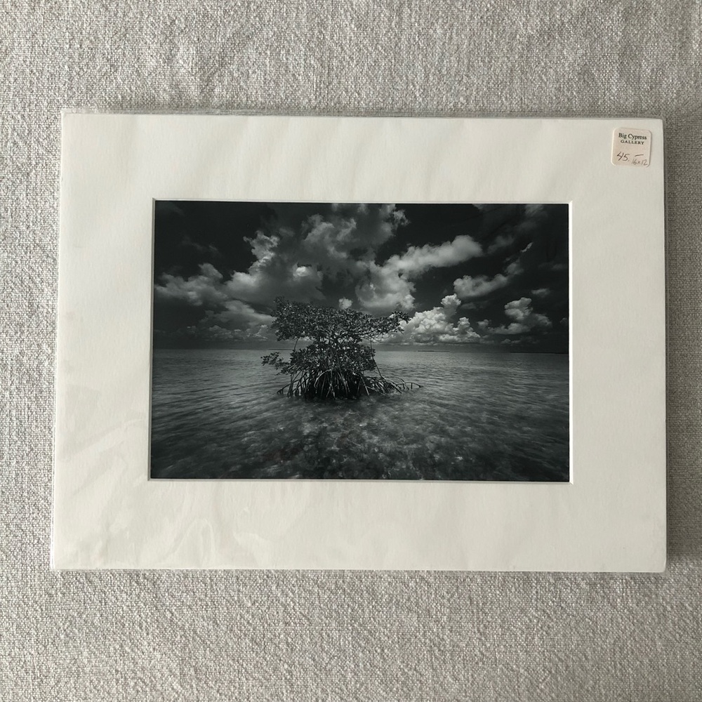 Clyde Butcher Black & White Wall Art Print